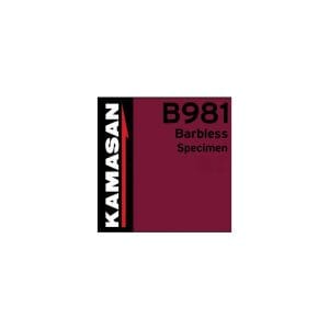 Kamasan B981 25 Pack